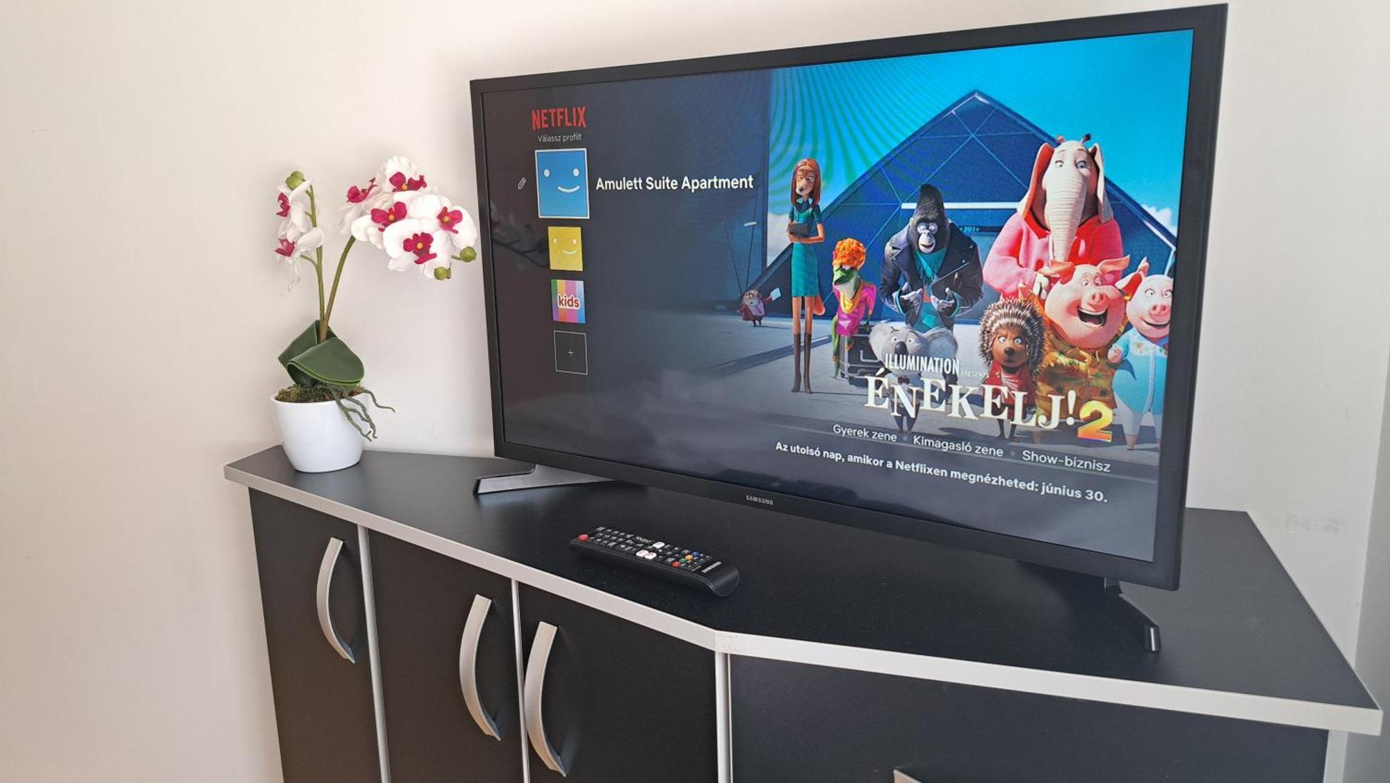 Amulett Suite Apartment ハイデゥソボスロー エクステリア 写真